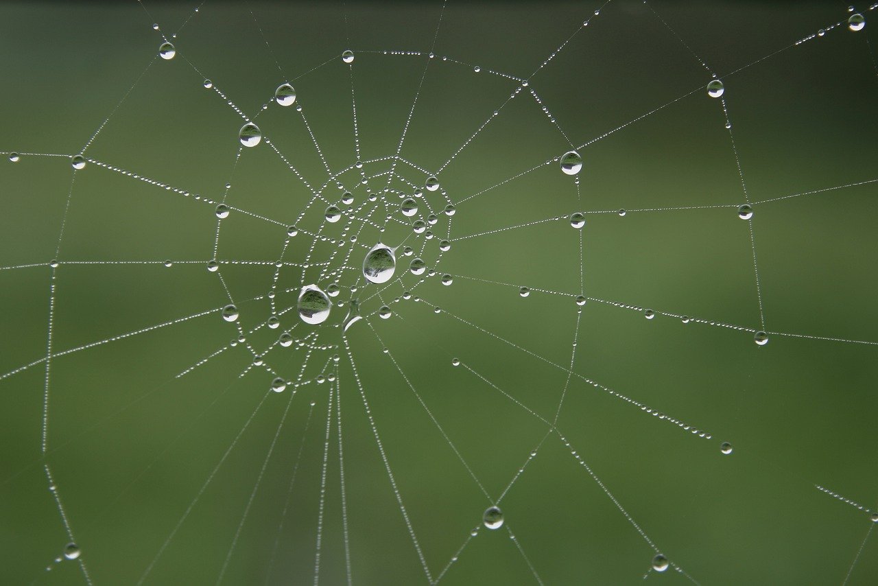 Demystifying the Power of Green Energy Solutions
